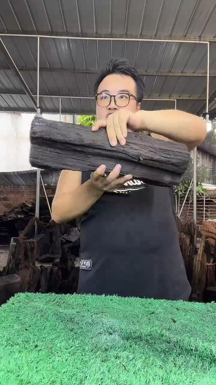 金丝楠小叶桢楠249