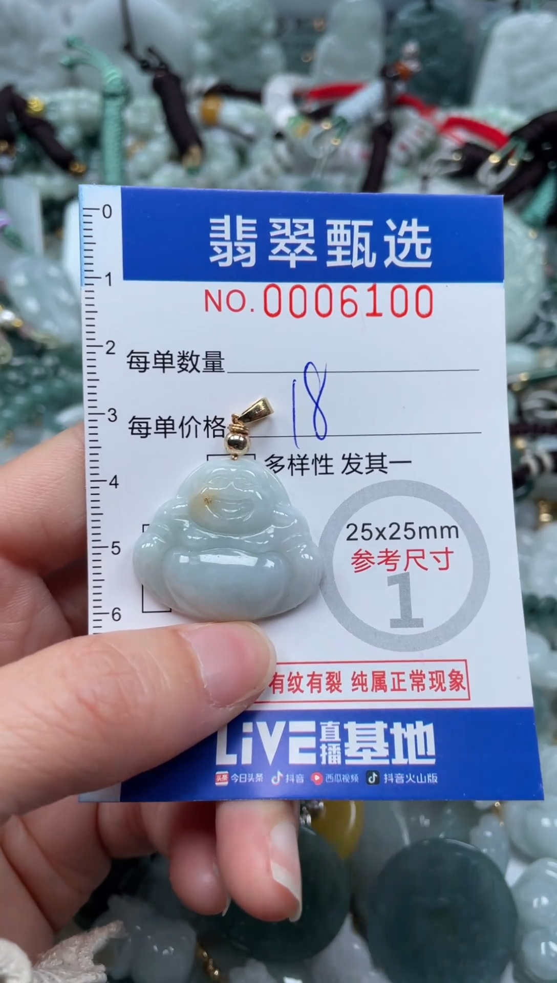 【闪购商品】翡翠颈饰未镶嵌00..6100