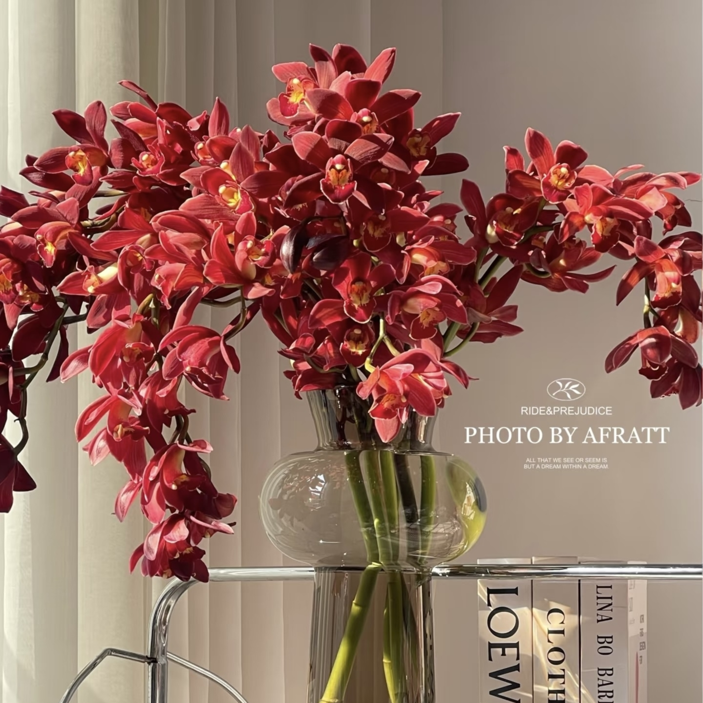 【年宵花红宝石大花蕙兰】年宵花花期长耐养活云南发货