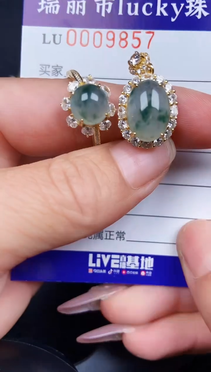 翡翠银S925镶嵌颈饰9857