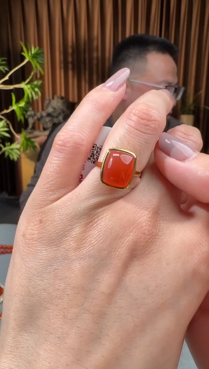 颈饰18K金镶嵌南红玛瑙18南红哥12.29多样性拍一发一