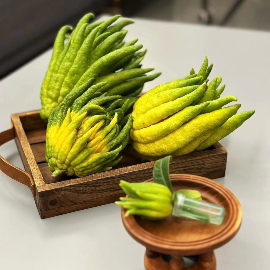新鲜佛手柑现剪家用鲜花云南省基地鲜切天然香薰