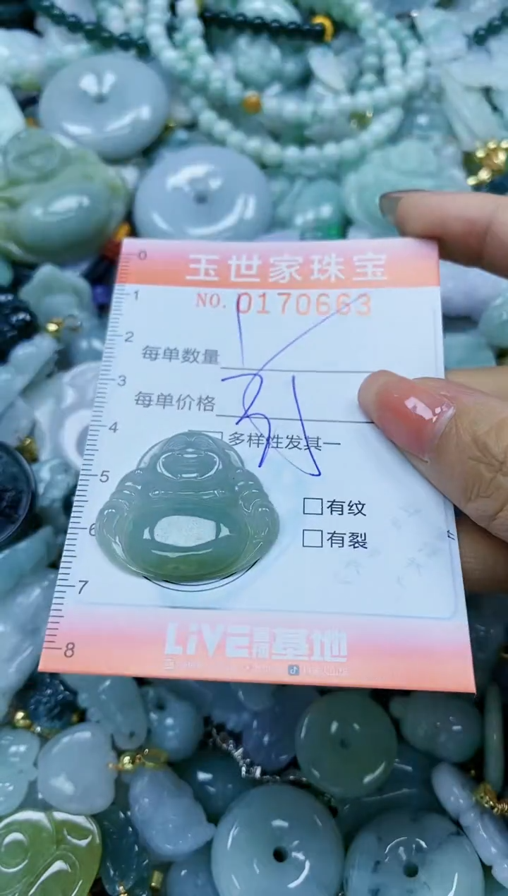 【闪购商品】翡翠颈饰未镶嵌闪购0170663