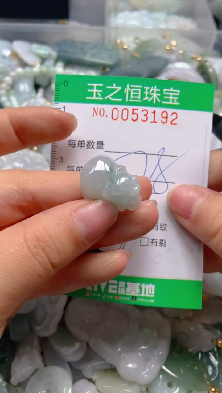 【闪购商品】翡翠颈饰未镶嵌闪购0053192