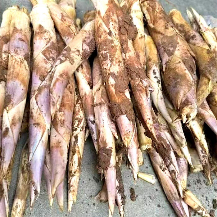 三品客鞭笋新鲜笋边笋春笋竹笋新鲜现挖顺丰快递临安产地直发