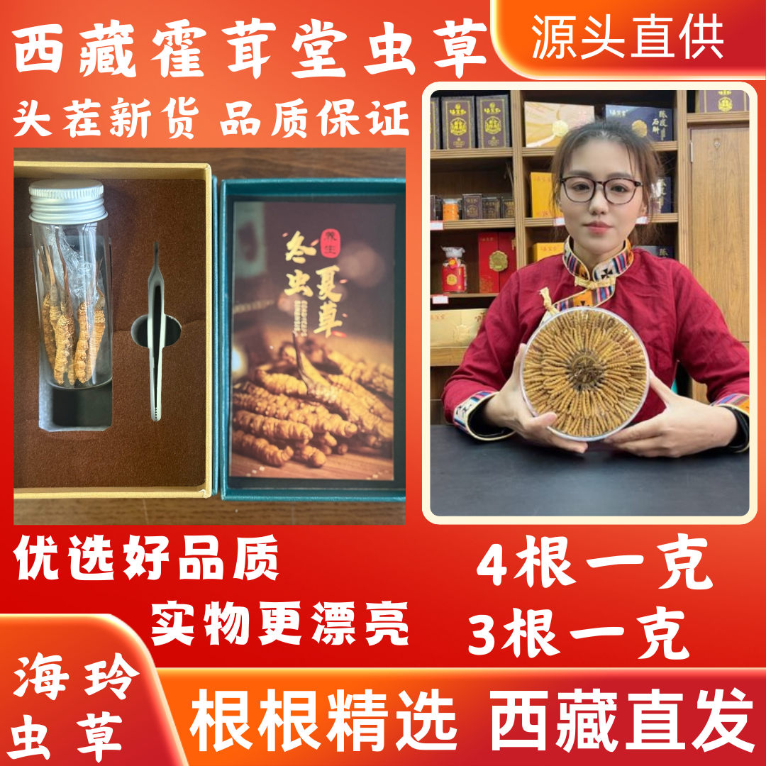 冬虫夏草3克品质品鉴装 4根/克  3根/克   2根/克规格 西藏虫草