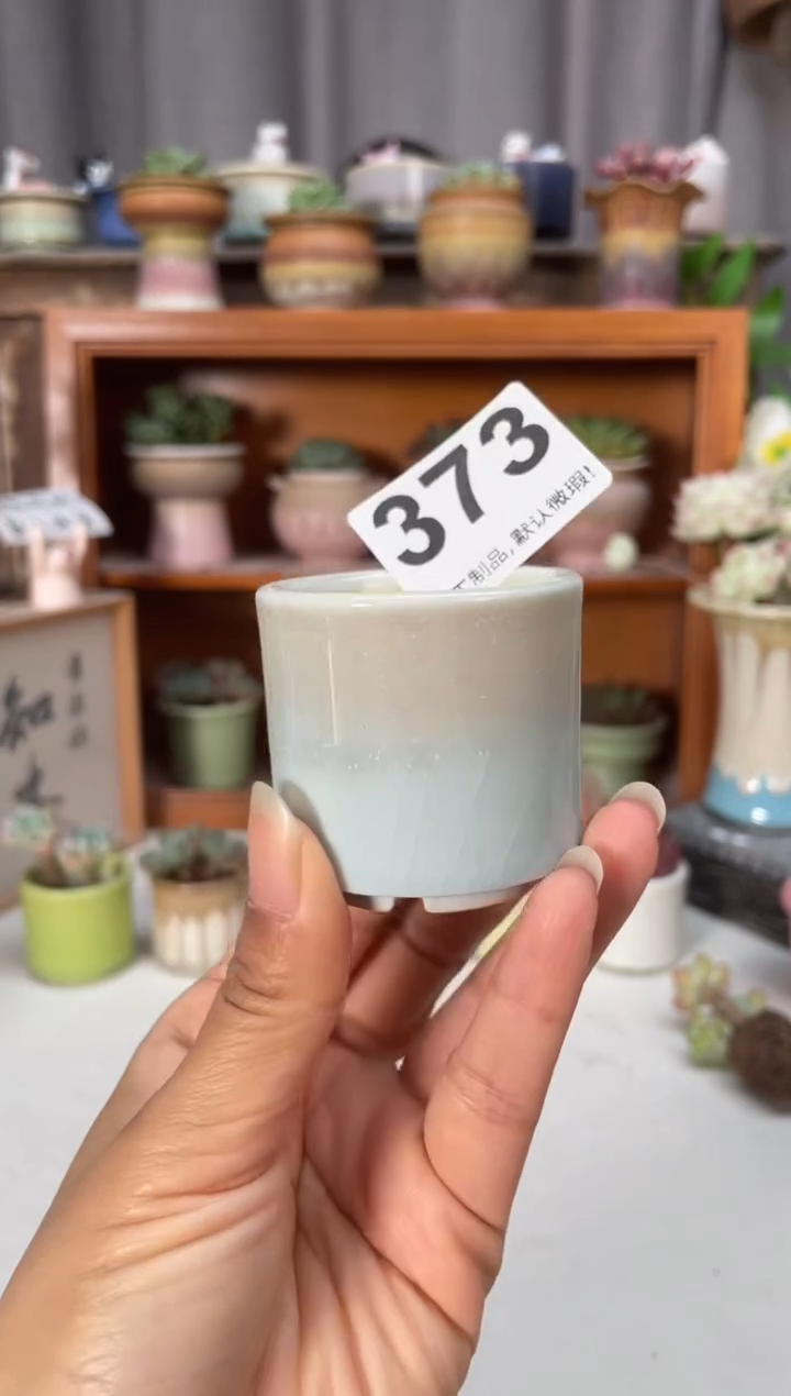 瓷片373小芳直播编号