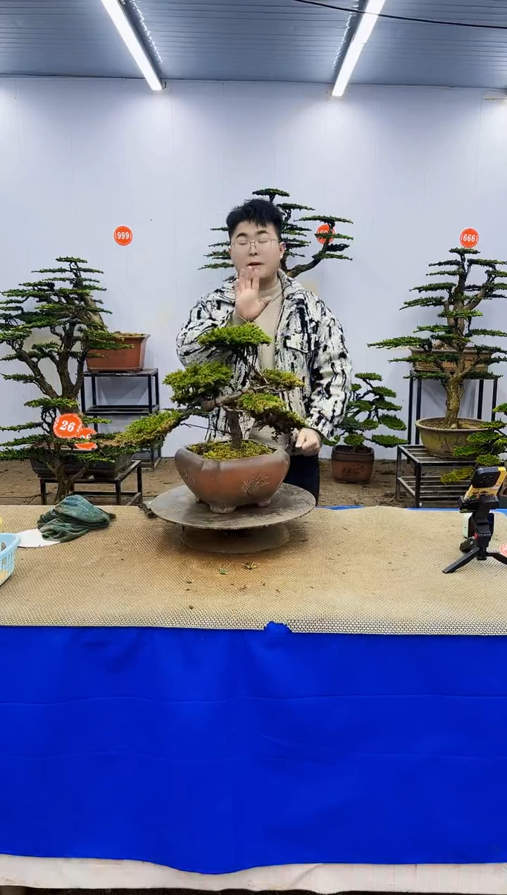 无花朵一物一拍，所见即所得