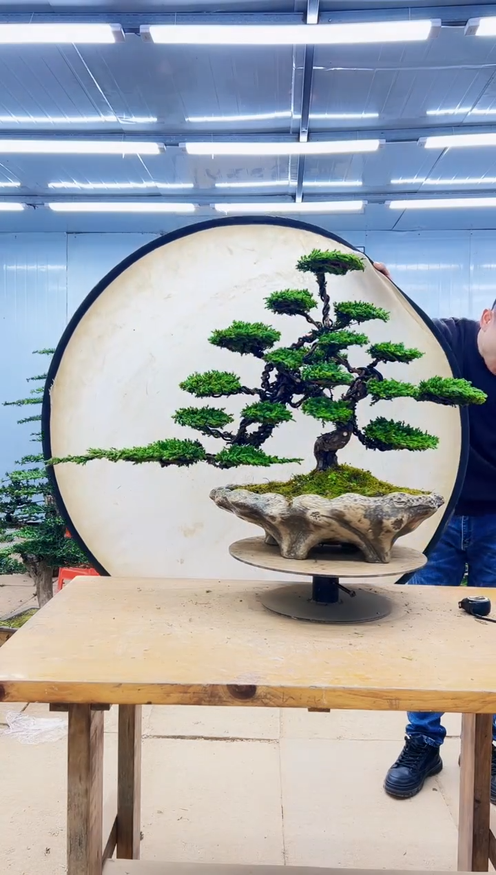 无花朵0000000000000000000000