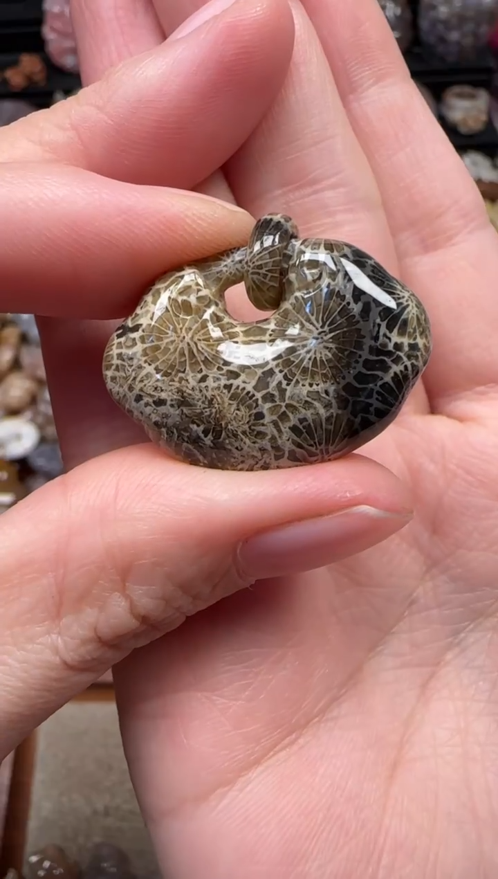 颈饰未镶嵌硅化珊瑚（珊瑚玉）363