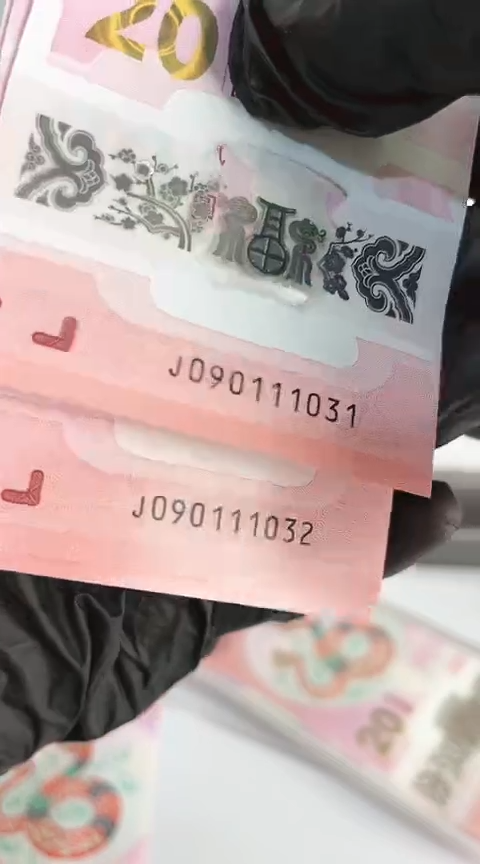 【闪购商品】塑料蛇钞标十号码090111031-40