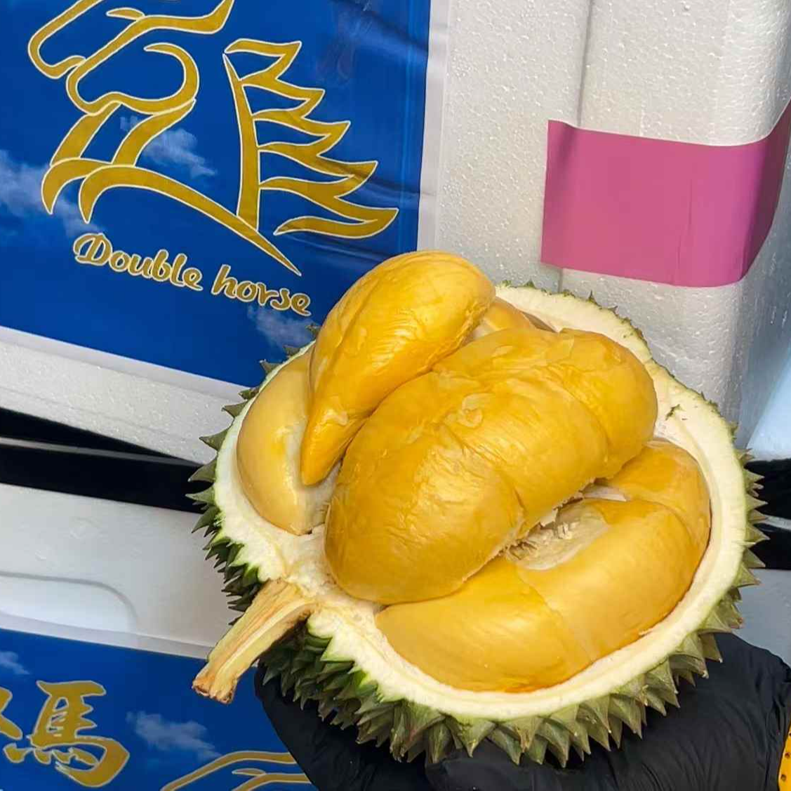 【鲜果AA级黑刺】马来西亚空运树熟黑刺新鲜榴莲(1-4斤）核大黑刺马来西亚