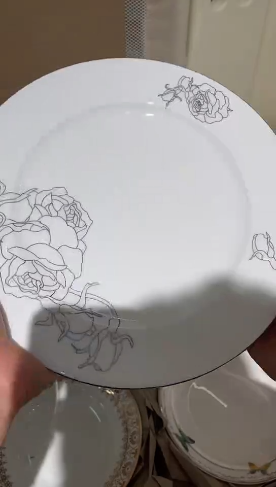 瓷10.5平1个隆达骨瓷