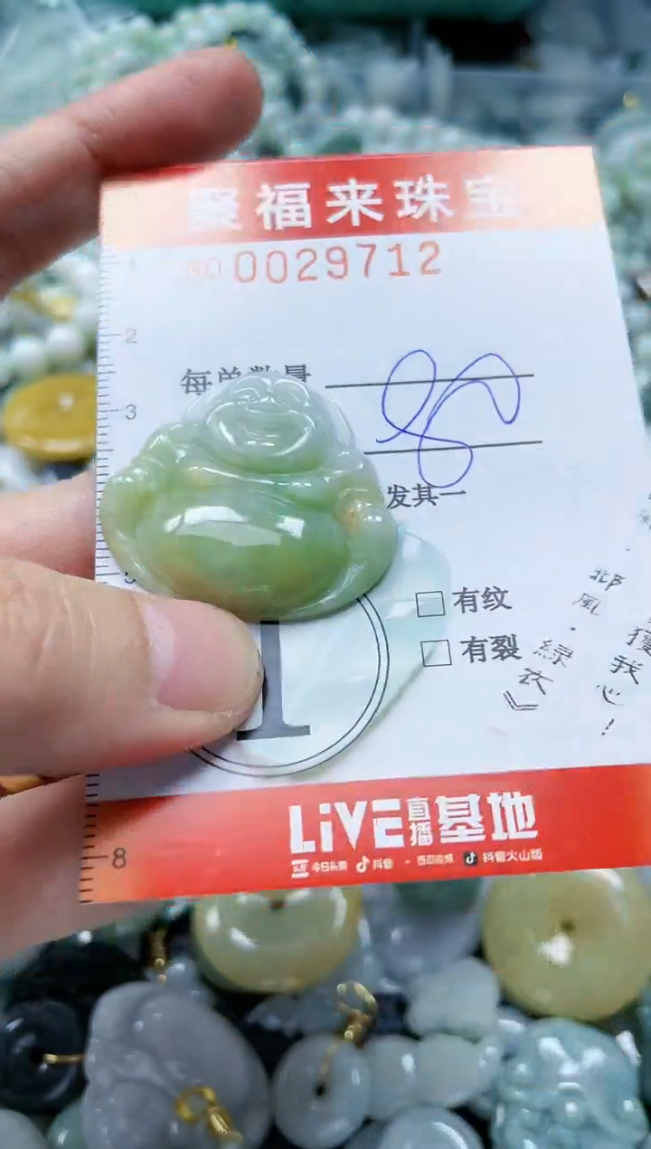 【闪购商品】翡翠颈饰未镶嵌闪购0029712