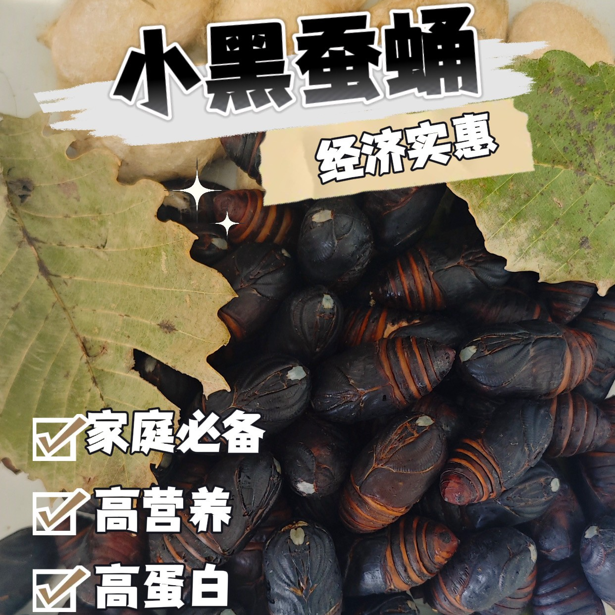 【经济实惠】2025年新蛹新鲜小黑鲜活蚕蛹东北特产小黑鲜活蚕蛹东北