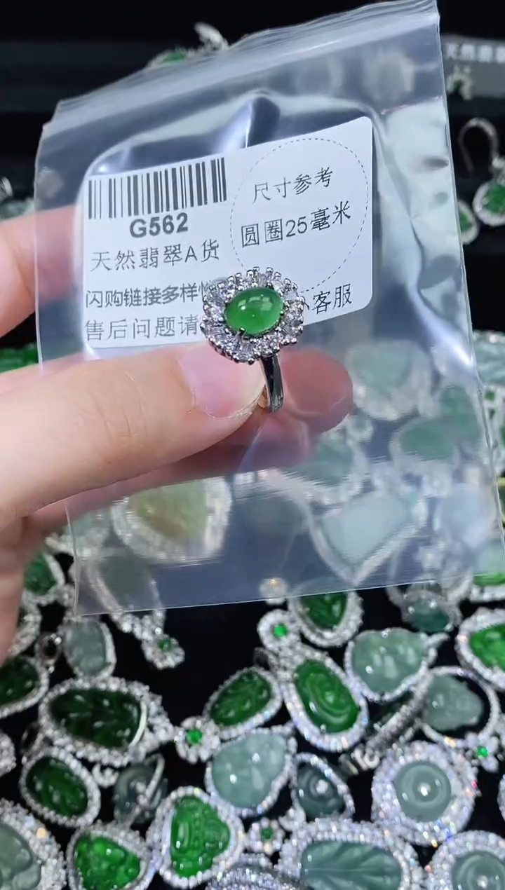 翡翠未镶嵌颈饰精美翡翠-多样性只发一件G562