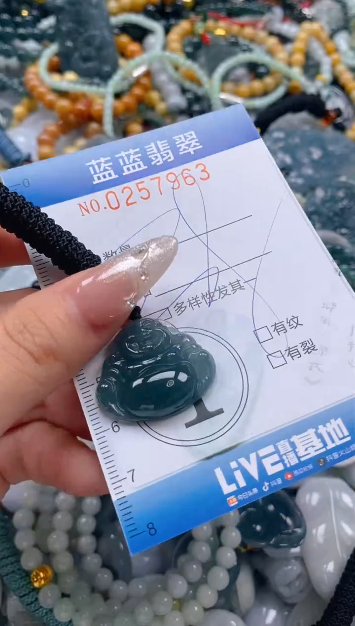 翡翠未镶嵌颈饰闪购0257963