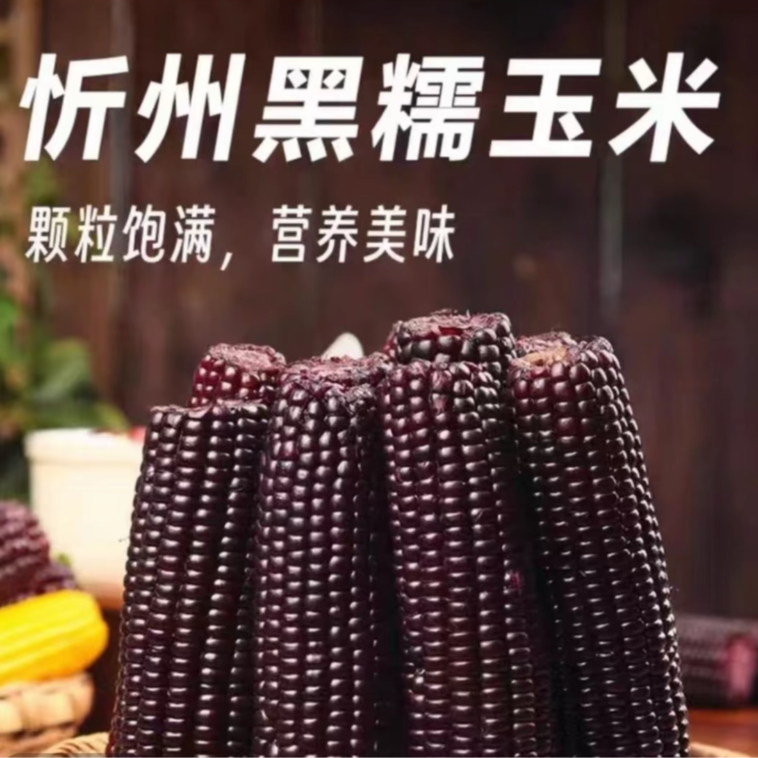 【5根】真空包装山西忻州黑糯玉米黑糯玉米山西省黑糯玉米山西省