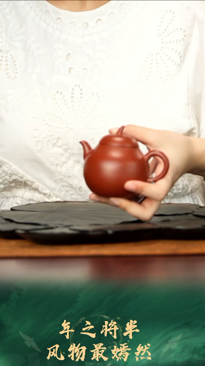 118号TT朱泥茄瓜