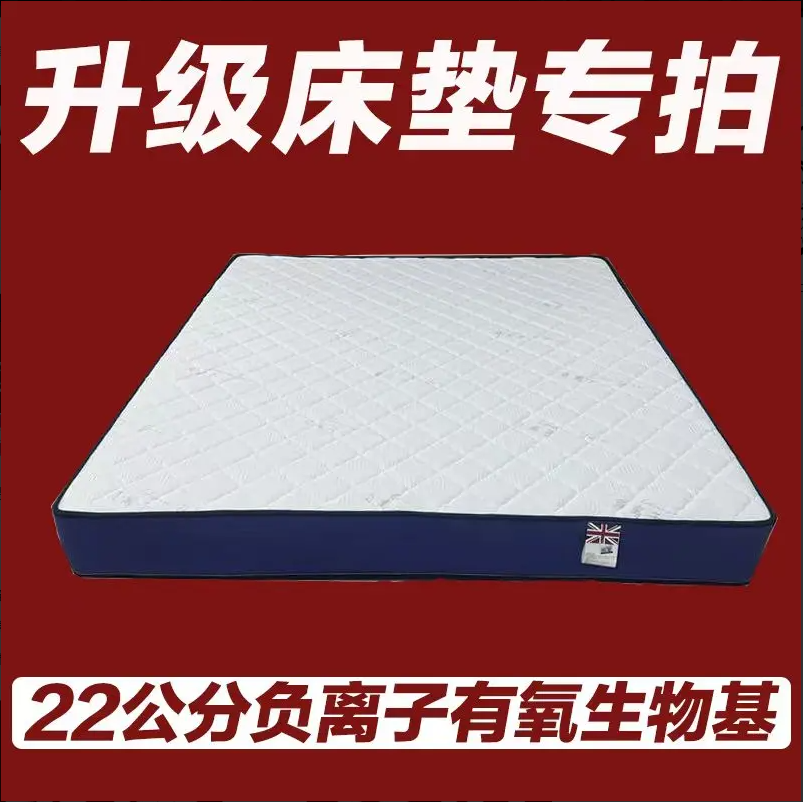【不是床】20公分床垫专拍【搭配床一起拍】简约北欧儿童大床极简意式