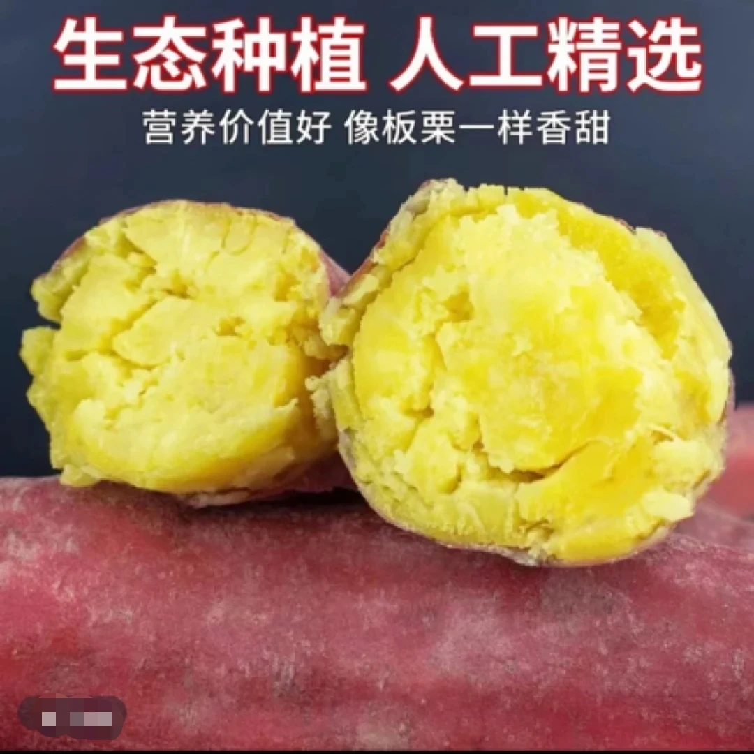 【买3斤送2斤】陕西正宗新鲜板栗红薯粉糯香甜粗粮小香薯粗粮代餐A
