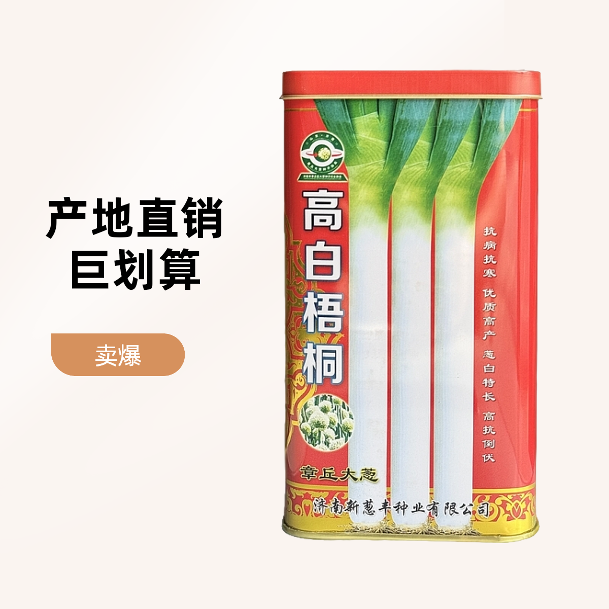 正宗山东章丘大葱种子 高白抗病王高白脆甜蔬菜种孑原产直发包邮