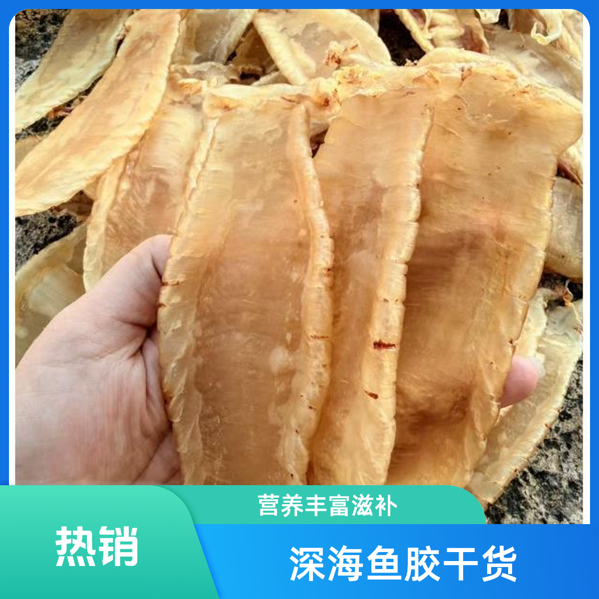 【金海岸09】赤嘴白花鱼胶常规拍单链接