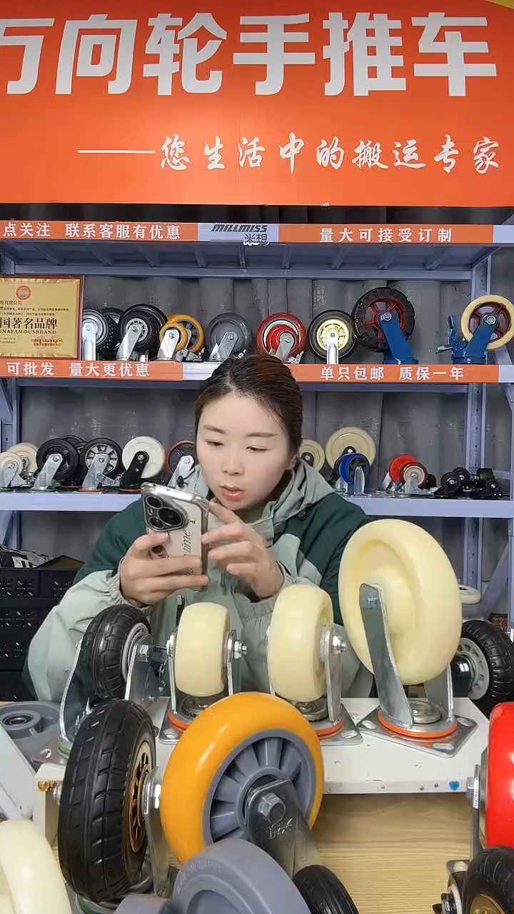 肥猫老板专属   8寸万向*2 