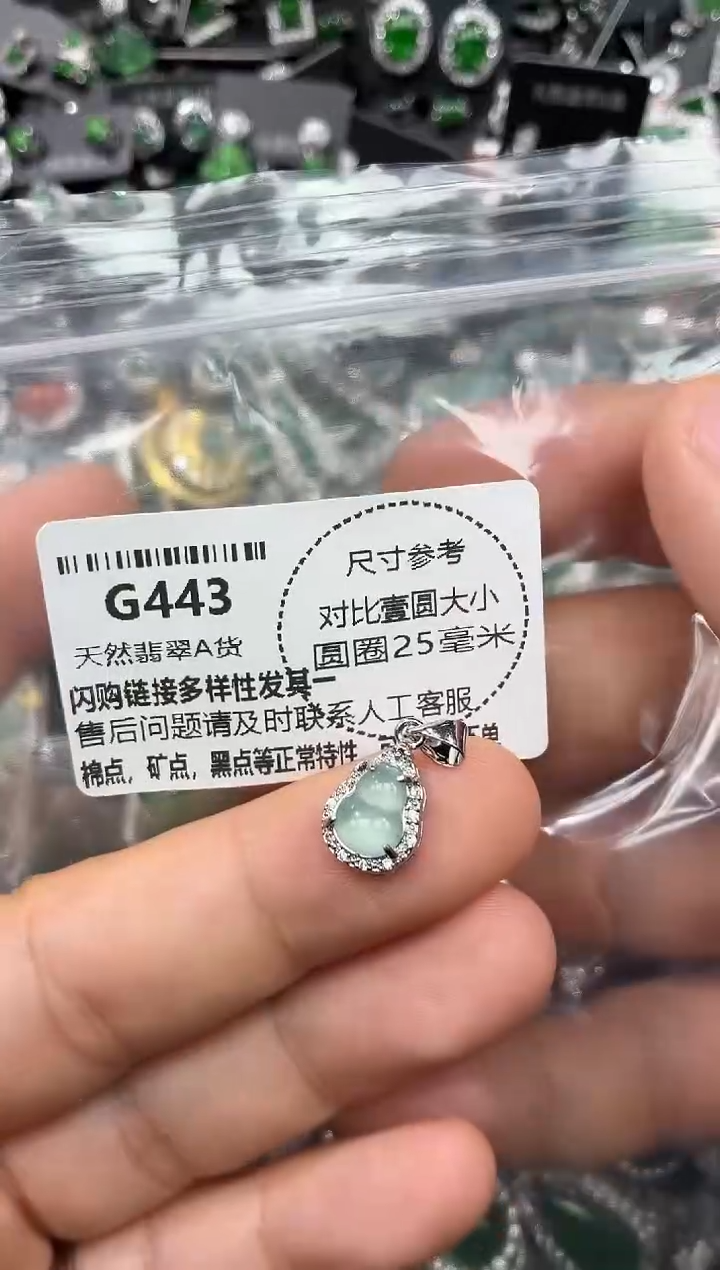 颈饰未镶嵌翡翠G443吊坠