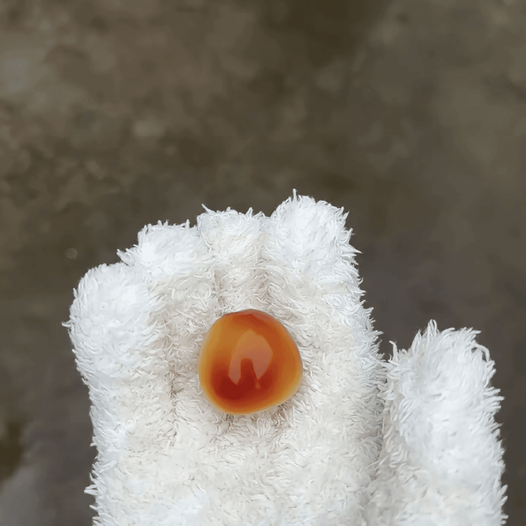 小号凑手串专拍佛心果金包玉手串单颗成品释迦菩提手工手持手串