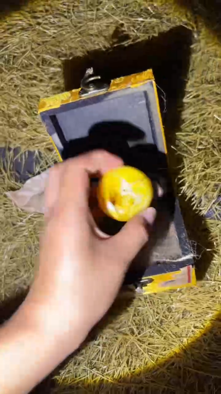琪琪专属精品链接