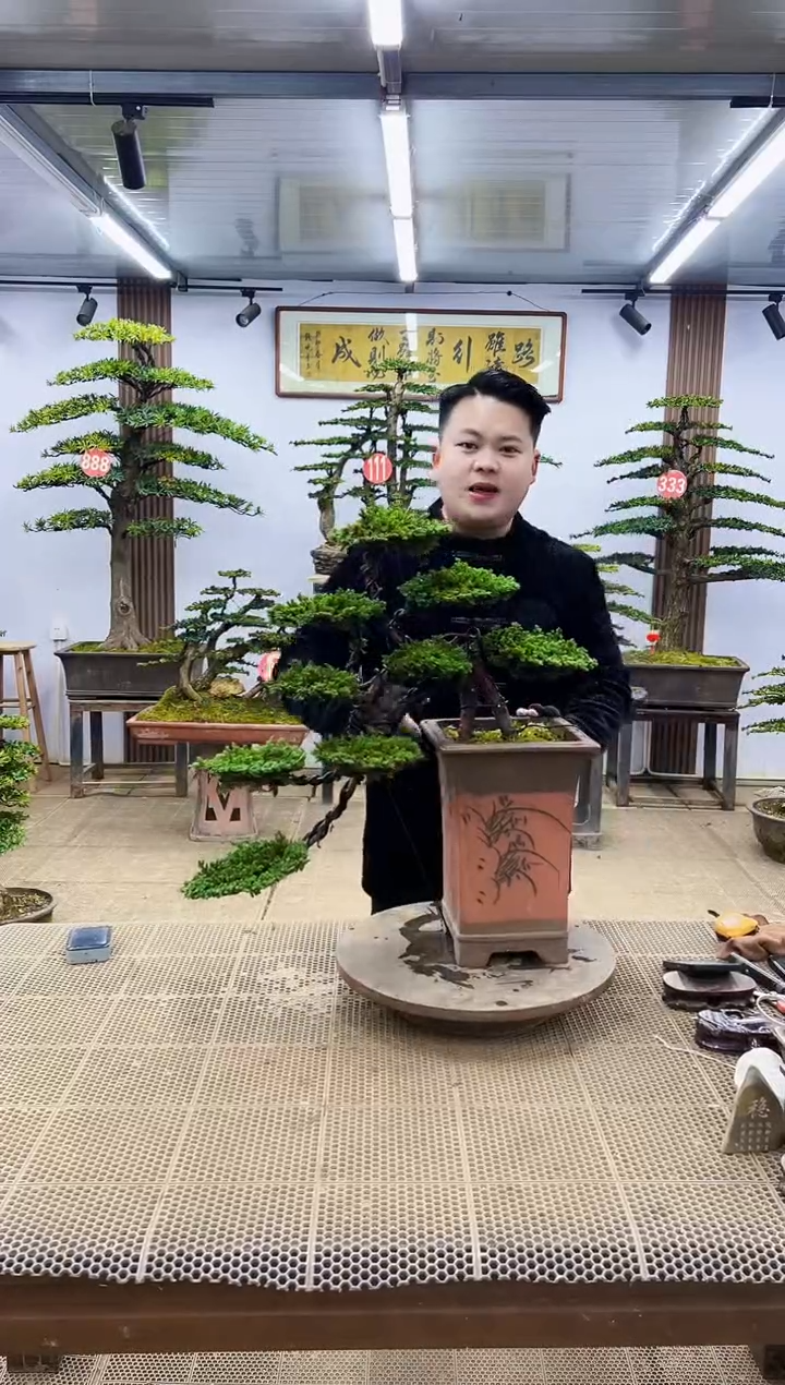 【闪购商品】000000000