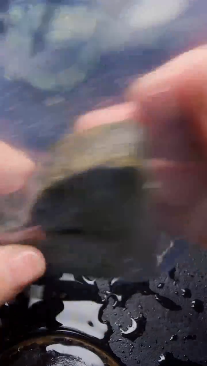 颈饰未镶嵌翡翠墨*鱼17
