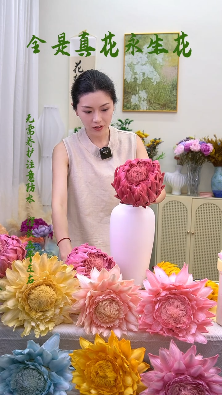 永生洋蓟一个头玫粉619