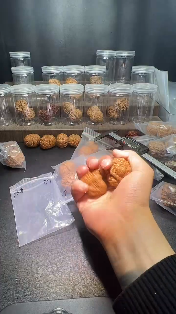 把件文玩核桃蜡****子5嘻嘻嘻