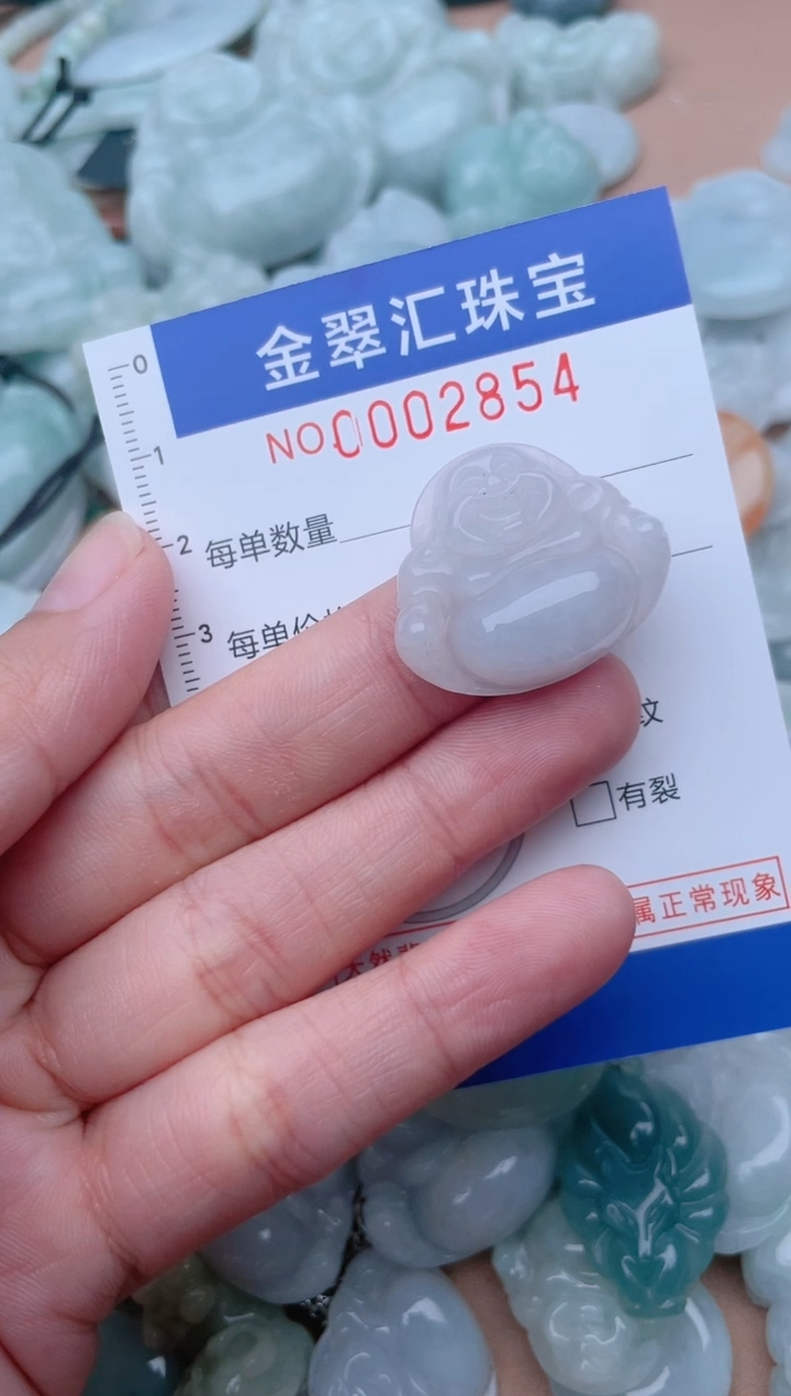 颈饰未镶嵌翡翠2854