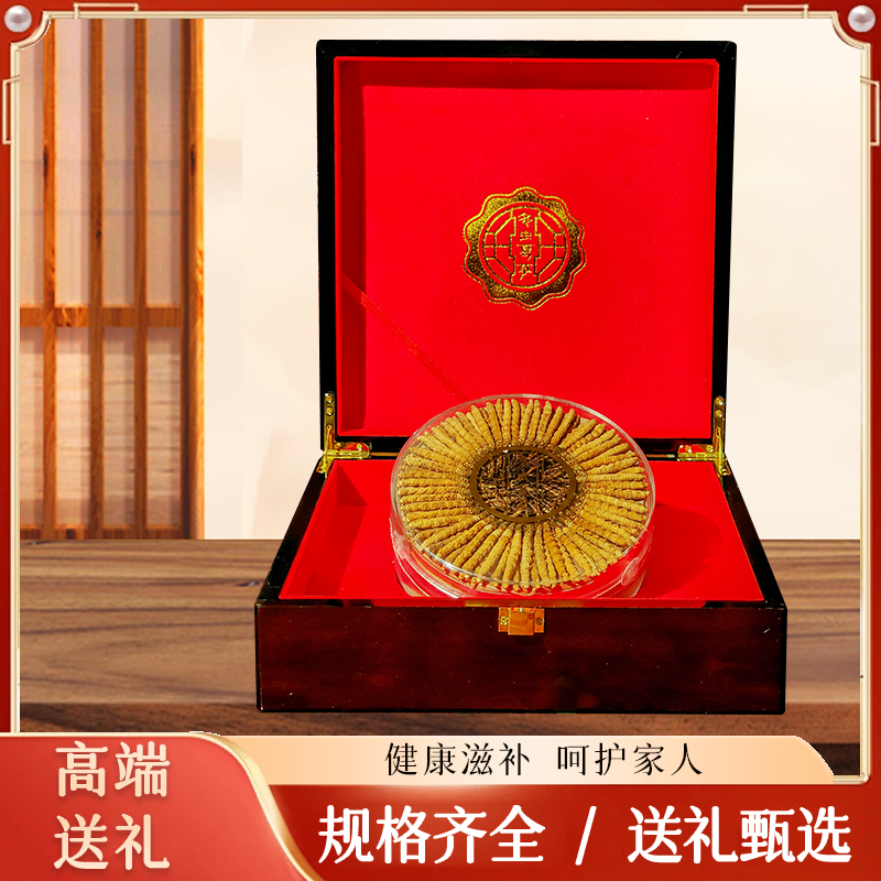 【鑫之贝】平均2根/克 100根  2025头茬 正品干冬虫夏草高端礼盒