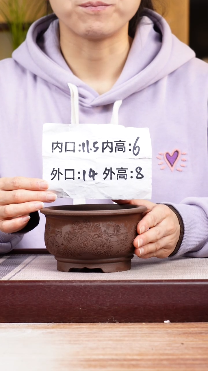 紫砂花盆紫泥刻绘猫咪迷你矮圆盆一只无托