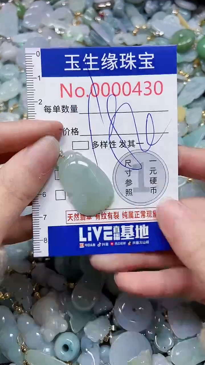 【闪购商品】翡翠颈饰未镶嵌闪购00000430