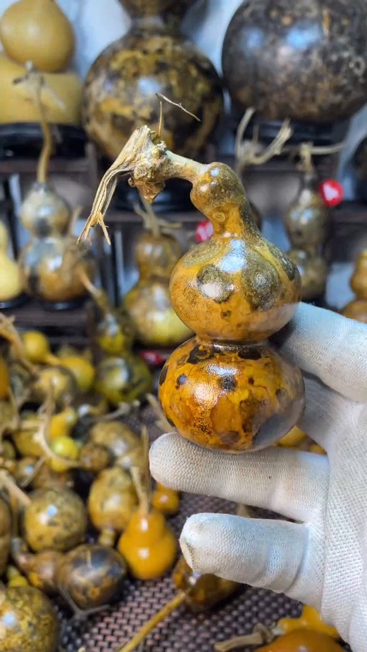 【闪购商品】葫芦葫芦葫芦葫芦