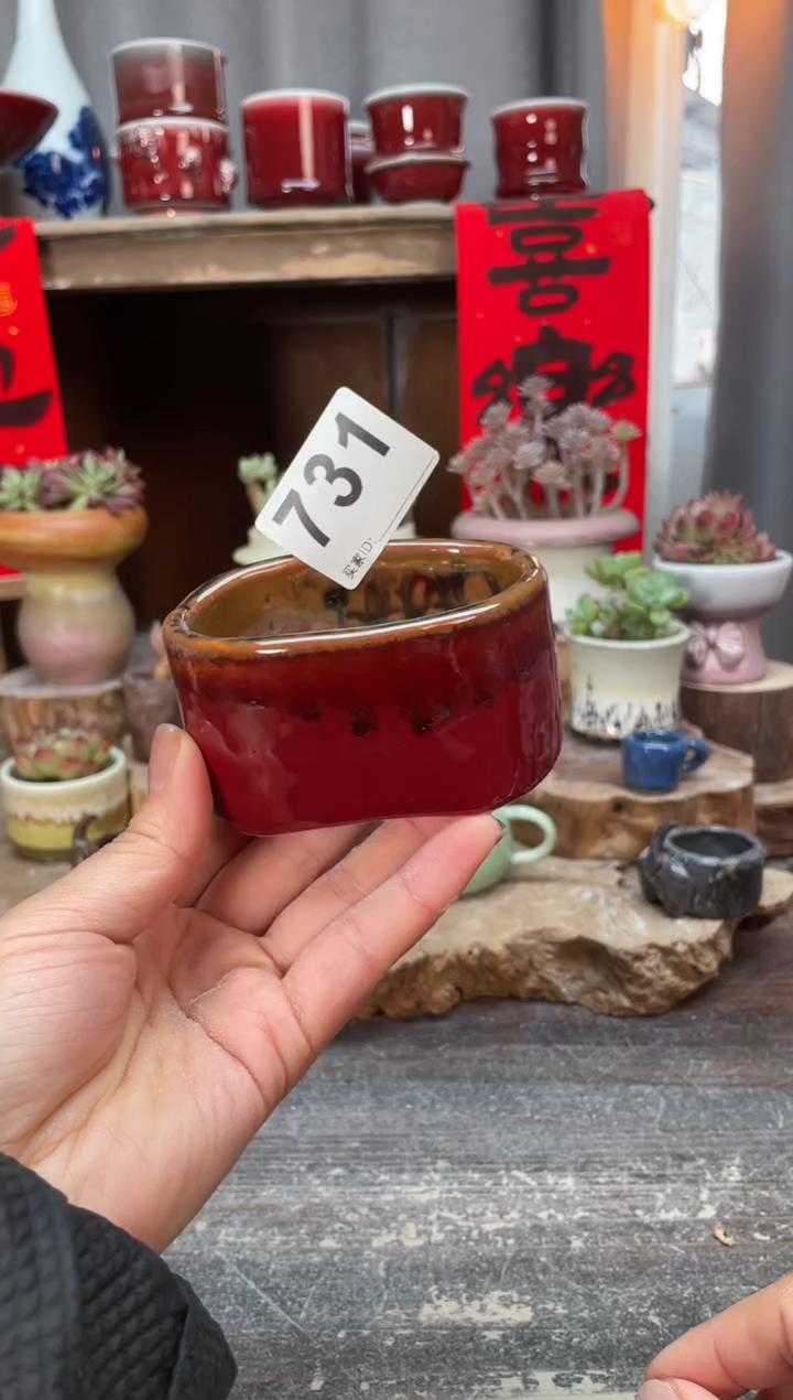 【闪购商品】摆件731微瑕知木小芳花盆