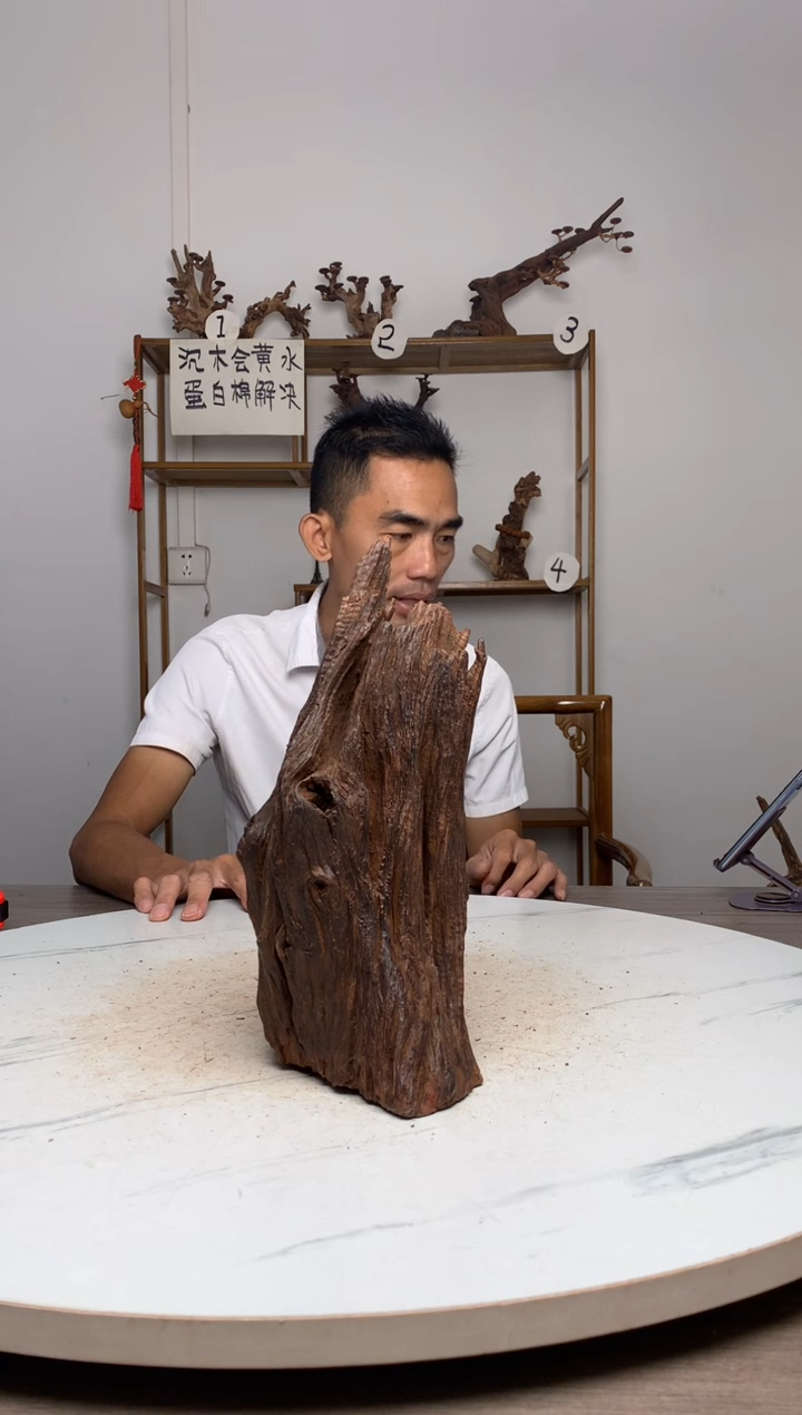 用****7鱼缸造景沉木摆件