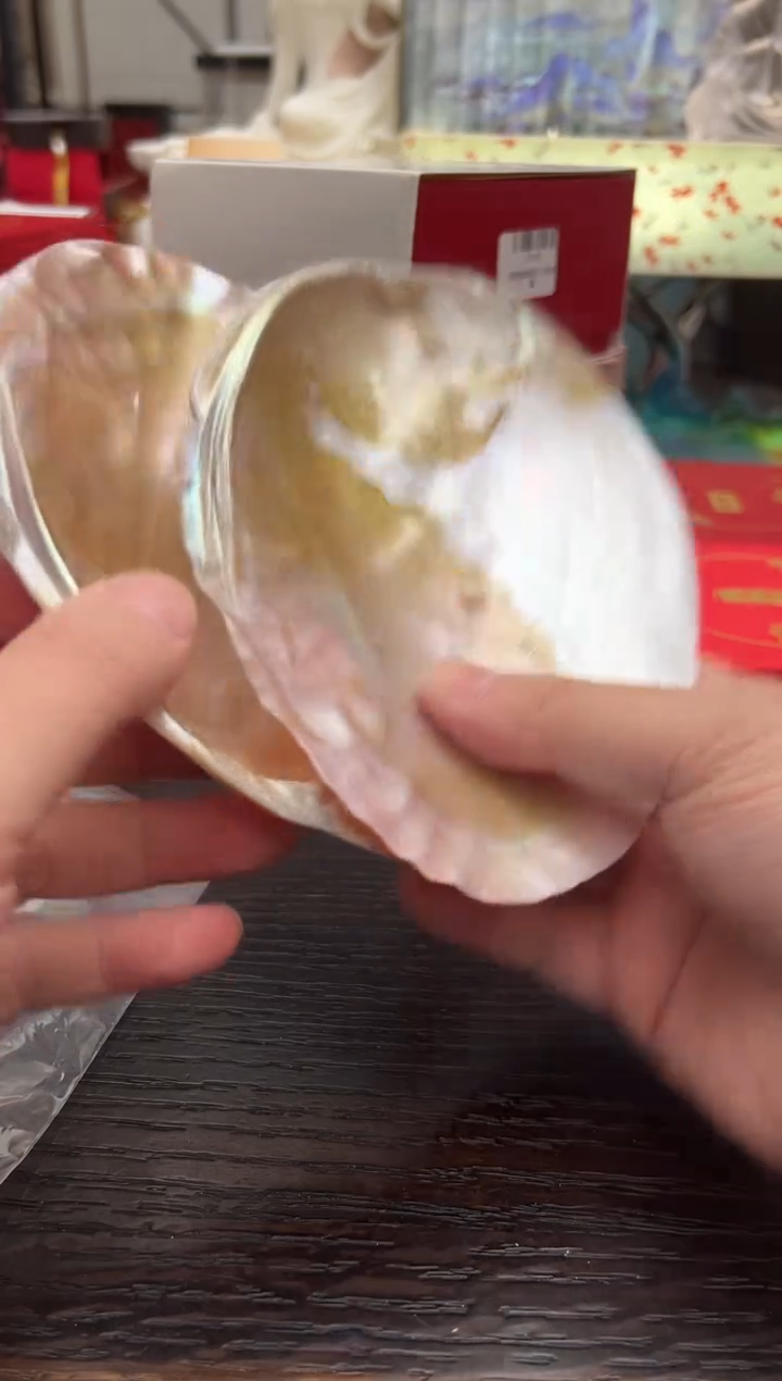新西兰天然炫彩贝壳