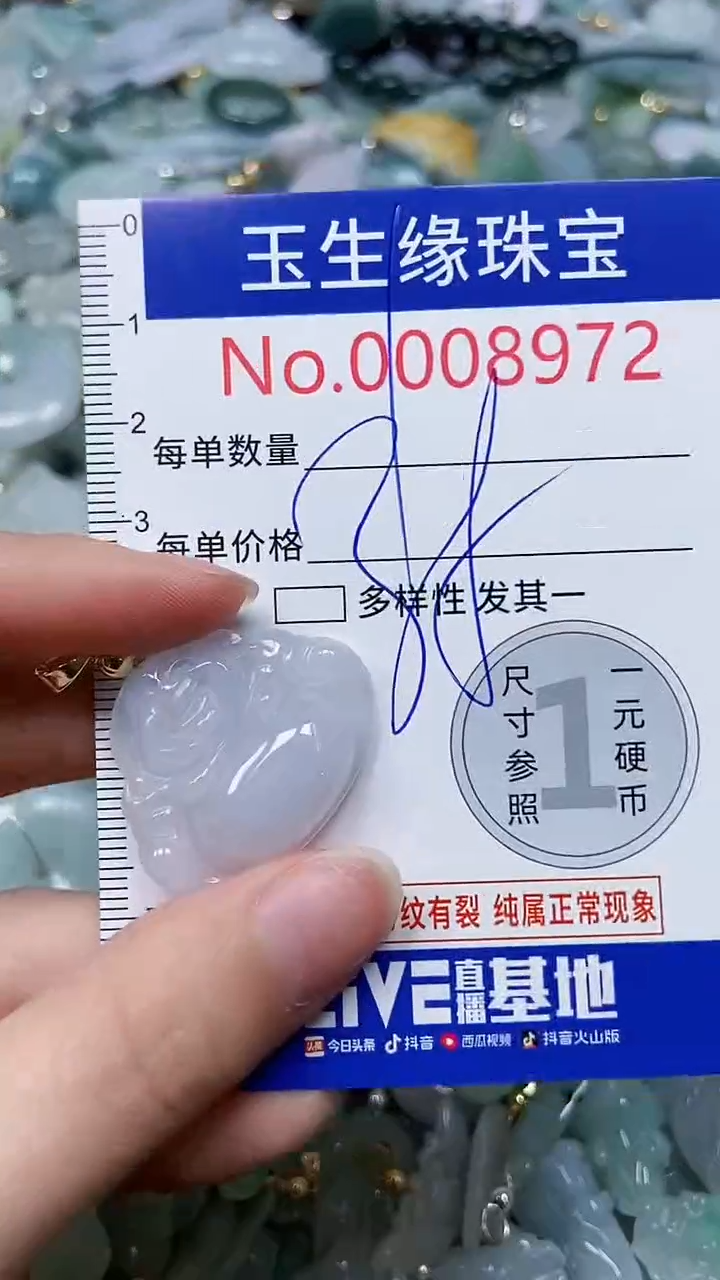 【闪购商品】翡翠颈饰未镶嵌闪购00008972