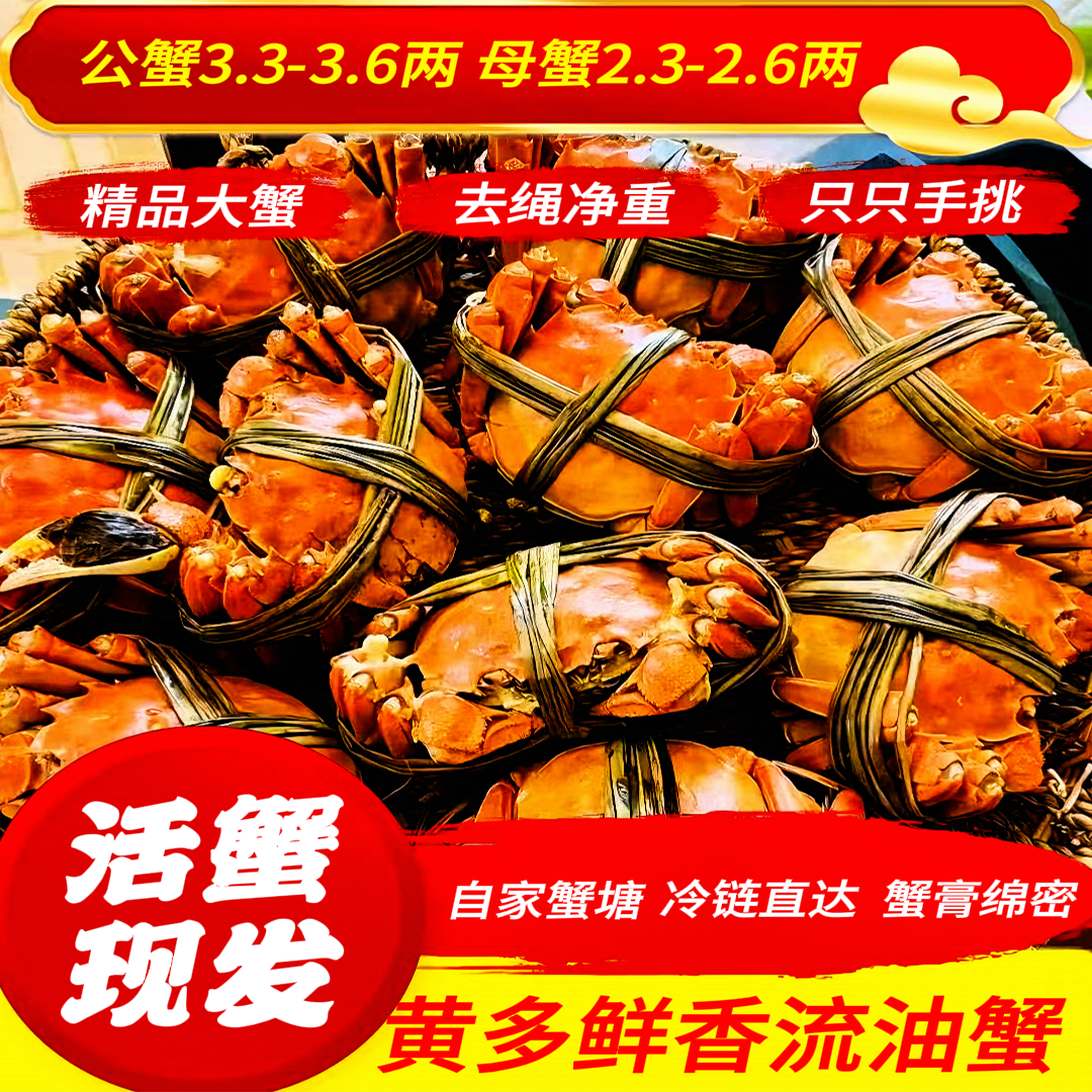 【活蟹】大闸蟹公蟹3.3-3.6两母2.3-2.6两五对10只装礼盒包邮到家