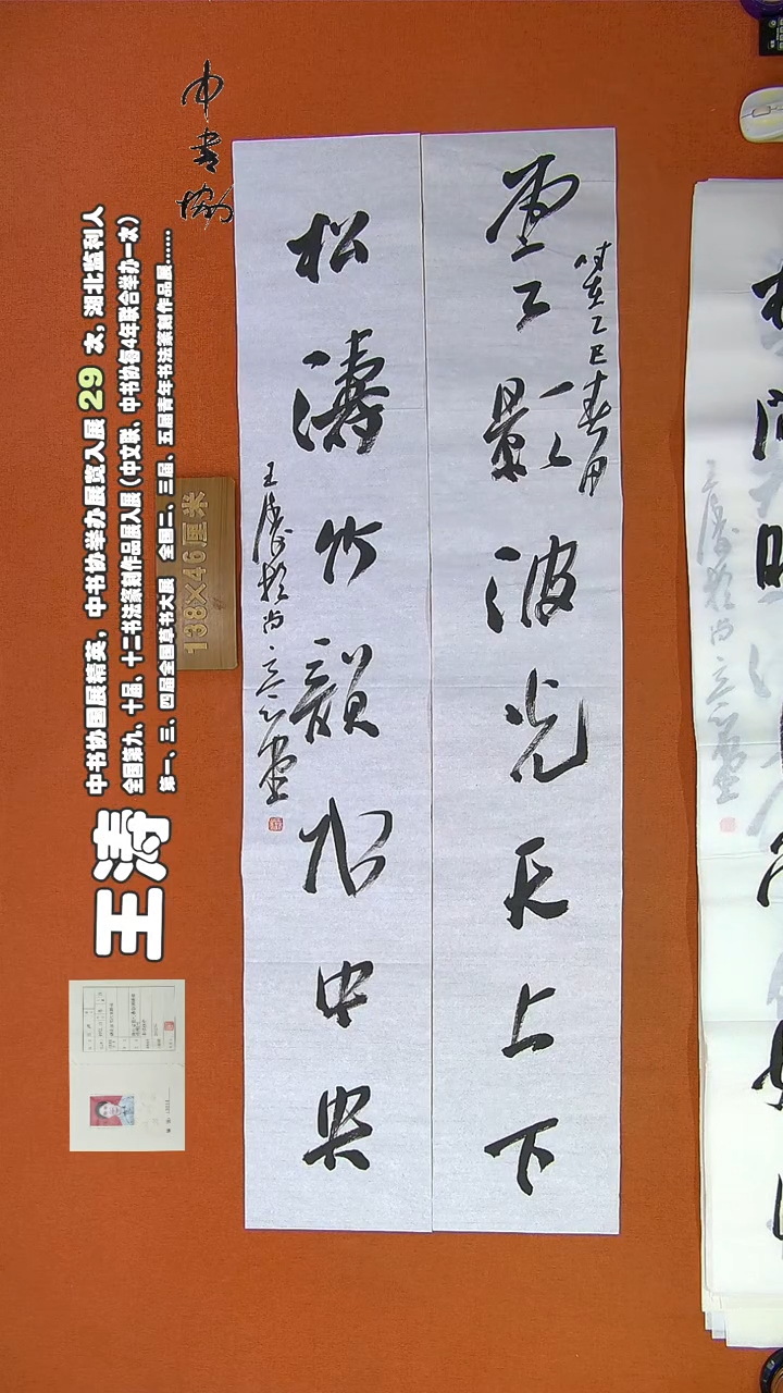 【闪购商品】书法693王涛书法作品