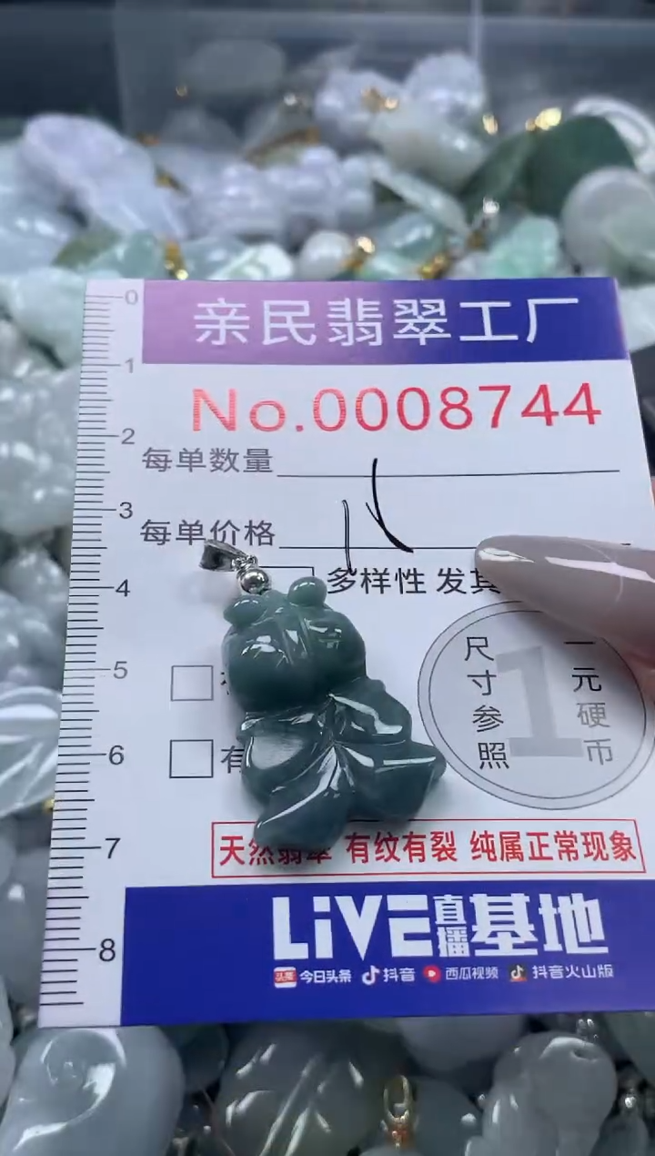 颈饰未镶嵌翡翠8744