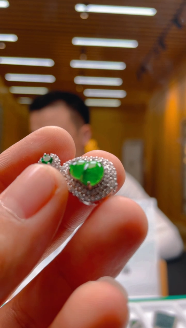 【闪购商品】翡翠颈饰未镶嵌********555