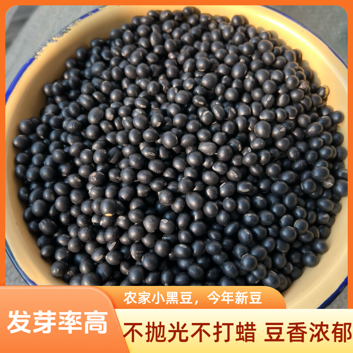 【1斤】农家黑豆心黑豆老品种黄芯小黑豆不抛光不打蜡可发芽打豆浆