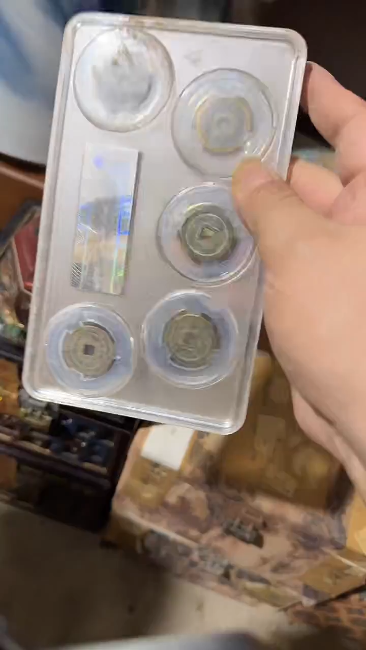 木       5个窟窿眼